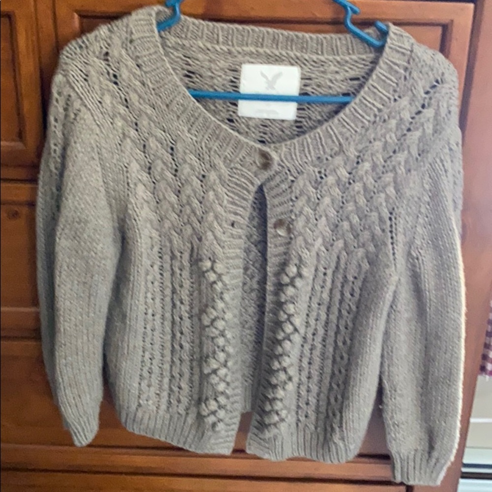 AE Crop button up sweater